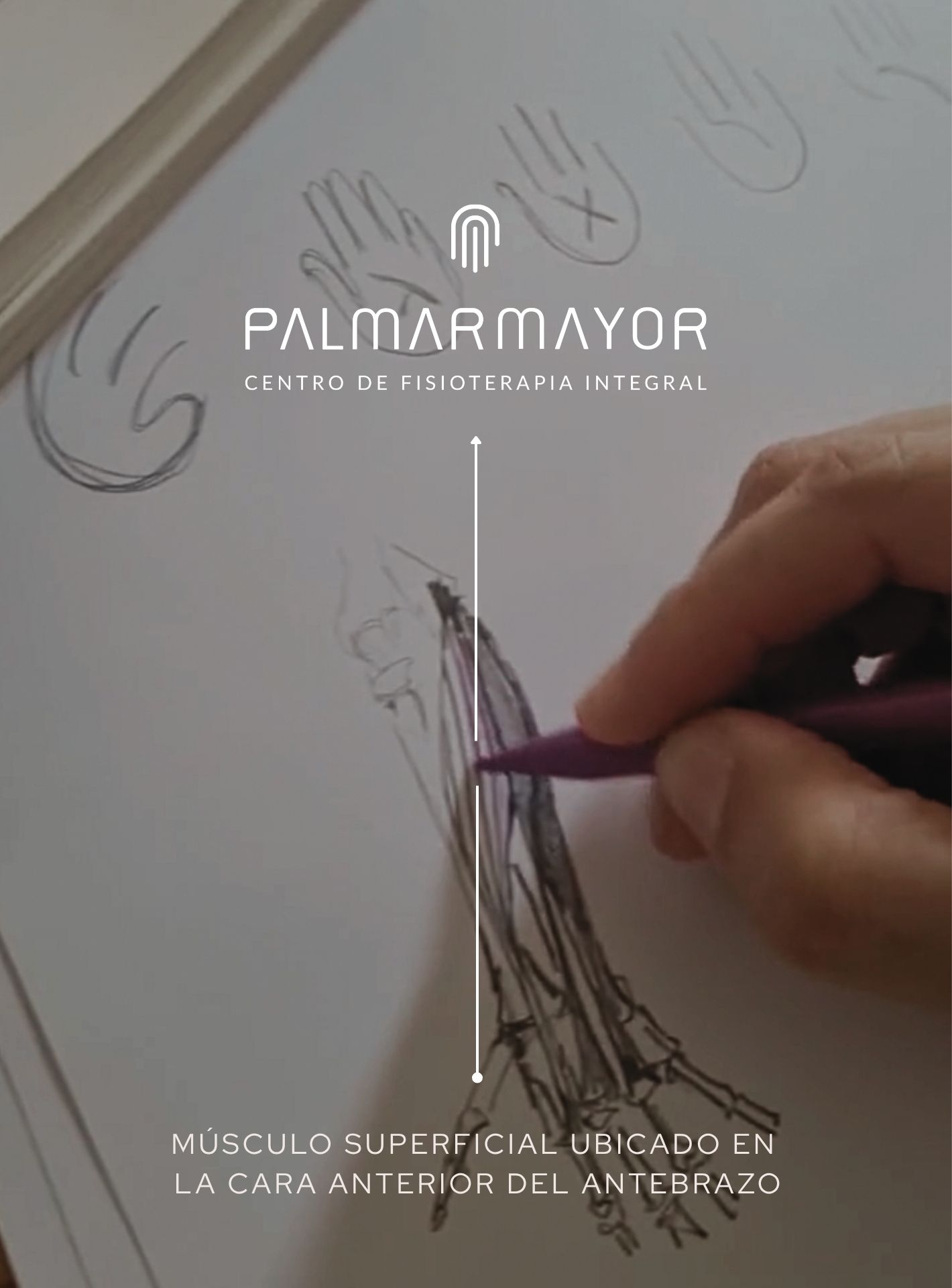 Aplicación de marca de Palmar Mayor