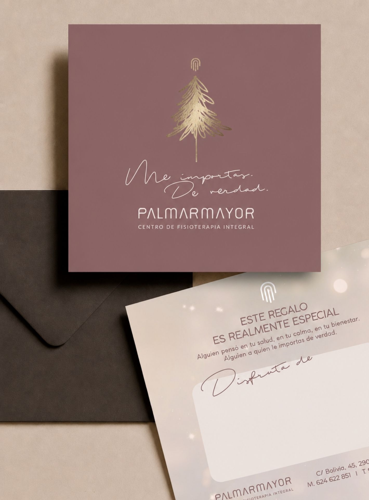 Diseño de comunicación de Palmar Mayor